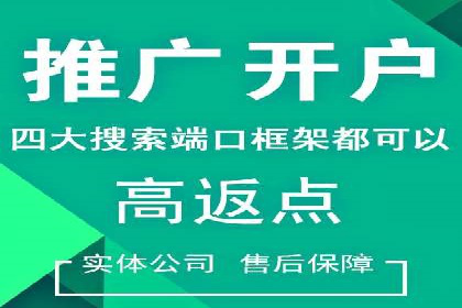 SEM推广实战：成功案例解读与策略调整